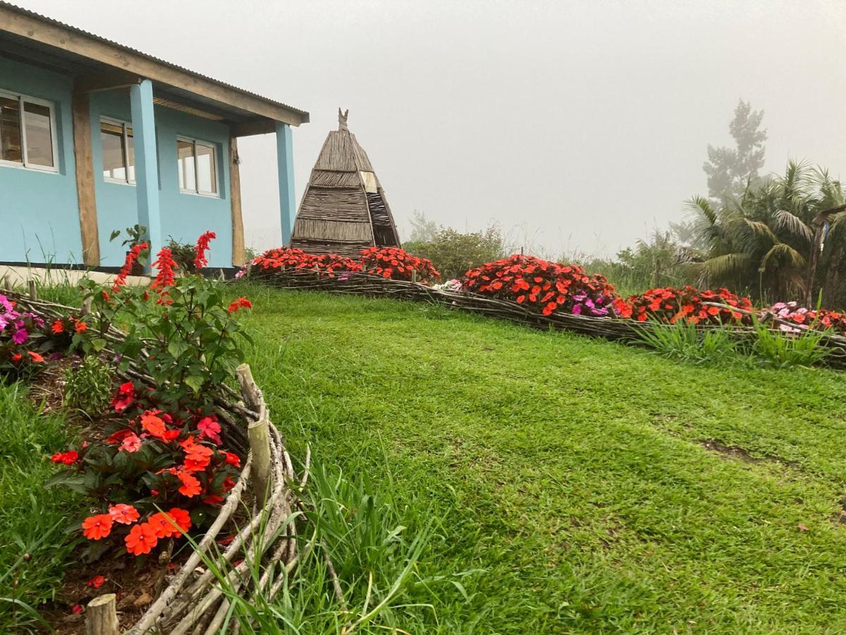 Au Coeur De La Cascade Biberon Bed & Breakfast La Plaine des Palmistes Bagian luar foto
