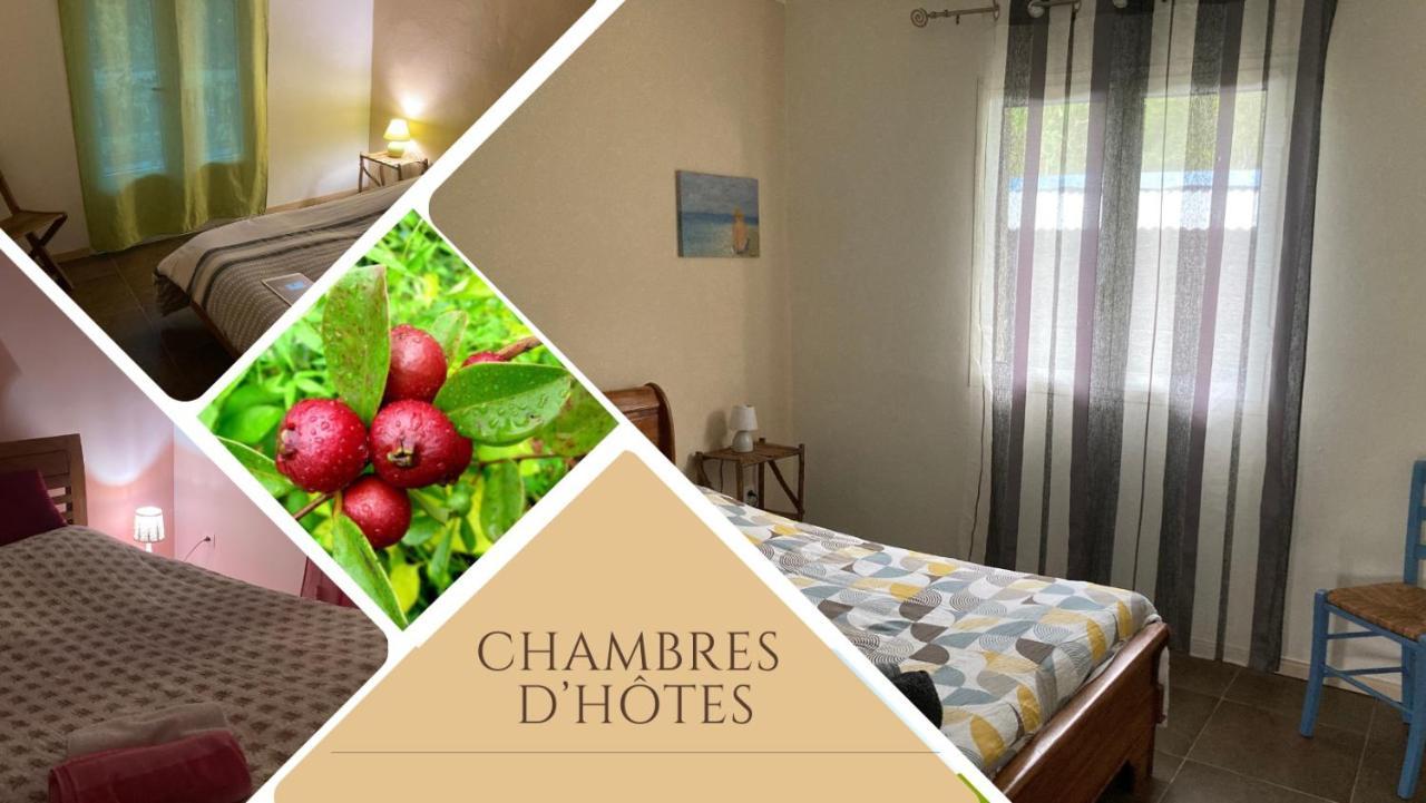 Au Coeur De La Cascade Biberon Bed & Breakfast La Plaine des Palmistes Bagian luar foto